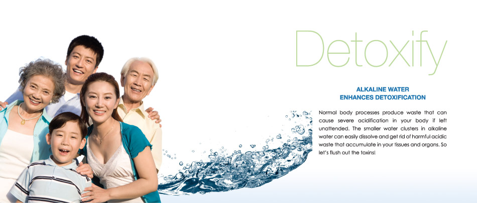 Detoxify - Office